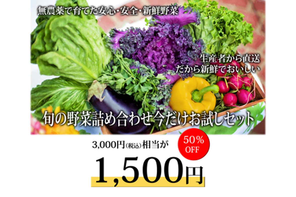 旬の野菜お試しセットLP（自主制作）のスクリーンショット